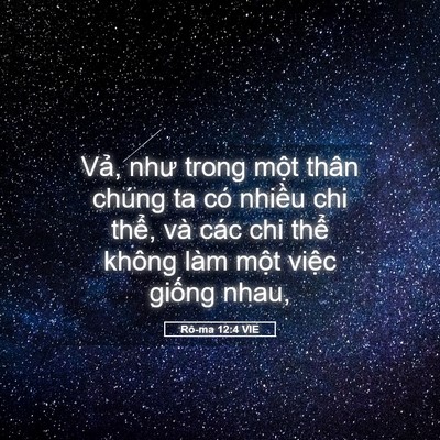 Picture 05 - Rô-ma 12:4 VIE - Vả, như trong một thân chúng ta có - Bible Verse Picture