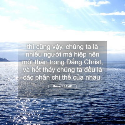 Picture 05 - Rô-ma 12:5 VIE - thì cũng vậy, chúng ta là nhiều người - Bible Verse Picture