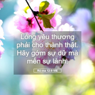 Picture 05 - Rô-ma 12:9 VIE - Lòng yêu thương phải cho thành thật. - Bible Verse Picture