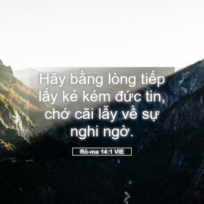 Picture 05 - Rô-ma 14:1 VIE - Hãy bằng lòng tiếp lấy kẻ kém đức - Bible Verse Picture