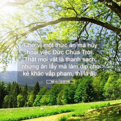 Picture 05 - Rô-ma 14:20 VIE - Chớ vì một thức ăn mà hủy hoại - Bible Verse Picture