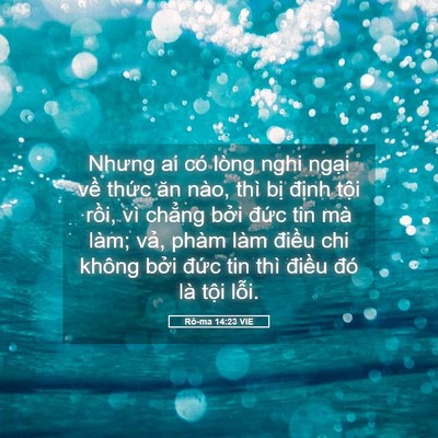Picture 05 - Rô-ma 14:23 VIE - Nhưng ai có lòng nghi ngại về thức ăn - Bible Verse Picture