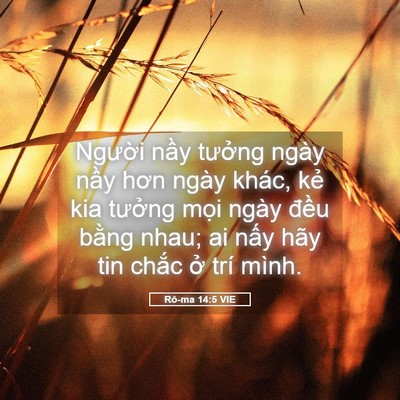 Picture 05 - Rô-ma 14:5 VIE - Người nầy tưởng ngày nầy hơn ngày - Bible Verse Picture