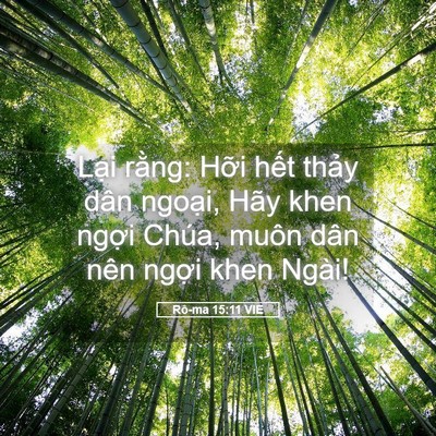Picture 05 - Rô-ma 15:11 VIE - Lại rằng: Hỡi hết thảy dân ngoại, - Bible Verse Picture