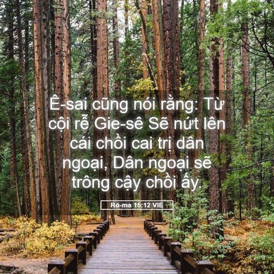 Picture 05 - Rô-ma 15:12 VIE - Ê-sai cũng nói rằng: Từ cội rễ Gie-sê - Bible Verse Picture