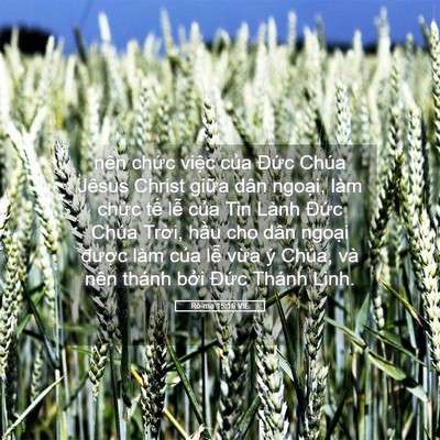 Picture 05 - Rô-ma 15:16 VIE - nên chức việc của Đức Chúa Jêsus - Bible Verse Picture