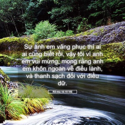Picture 05 - Rô-ma 16:19 VIE - Sự anh em vâng phục thì ai ai cũng biết - Bible Verse Picture