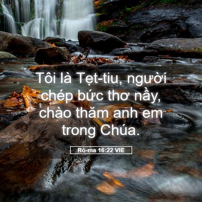 Picture 05 - Rô-ma 16:22 VIE - Tôi là Tẹt-tiu, người chép bức thơ - Bible Verse Picture