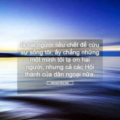 Picture 05 - Rô-ma 16:4 VIE - là hai người liều chết để cứu sự - Bible Verse Picture
