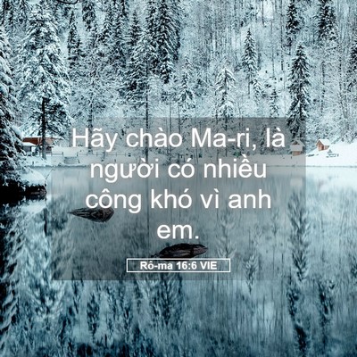 Picture 05 - Rô-ma 16:6 VIE - Hãy chào Ma-ri, là người có nhiều công - Bible Verse Picture