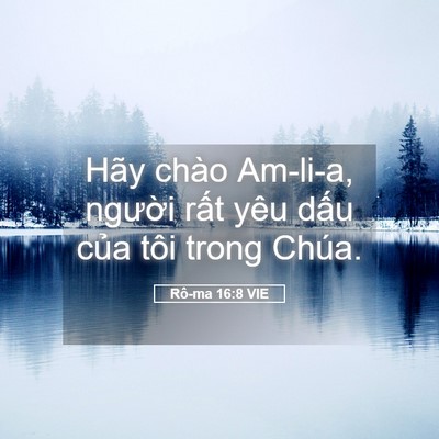 Picture 05 - Rô-ma 16:8 VIE - Hãy chào Am-li-a, người rất yêu dấu - Bible Verse Picture