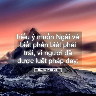 Picture 05 - Rô-ma 2:18 VIE - hiểu ý muốn Ngài và biết phân biệt - Bible Verse Picture