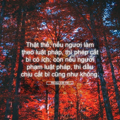 Picture 05 - Rô-ma 2:25 VIE - Thật thế, nếu ngươi làm theo luật - Bible Verse Picture