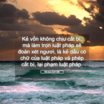 Picture 05 - Rô-ma 2:27 VIE - Kẻ vốn không chịu cắt bì, mà làm - Bible Verse Picture