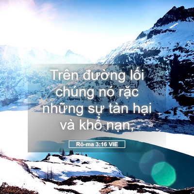 Picture 05 - Rô-ma 3:16 VIE - Trên đường lối chúng nó rặc những - Bible Verse Picture