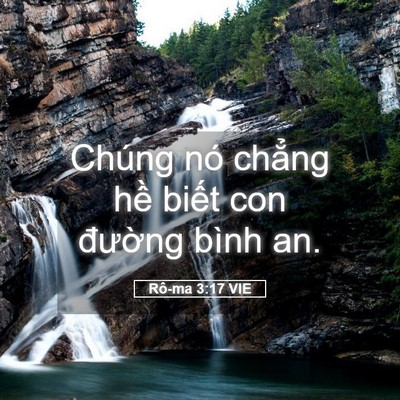 Picture 05 - Rô-ma 3:17 VIE - Chúng nó chẳng hề biết con đường - Bible Verse Picture