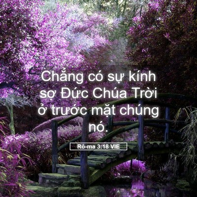 Picture 05 - Rô-ma 3:18 VIE - Chẳng có sự kính sợ Đức Chúa Trời - Bible Verse Picture