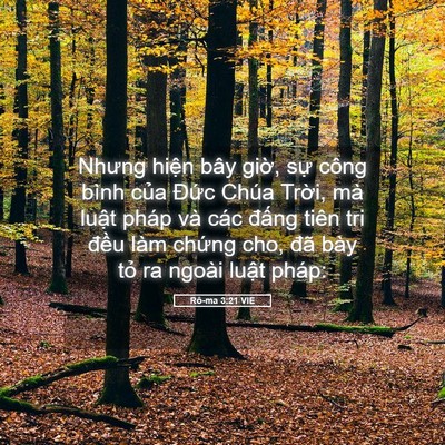 Picture 05 - Rô-ma 3:21 VIE - Nhưng hiện bây giờ, sự công bình của - Bible Verse Picture