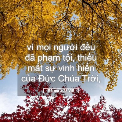 Picture 05 - Rô-ma 3:23 VIE - vì mọi người đều đã phạm tội, - Bible Verse Picture