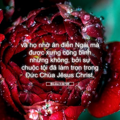 Picture 05 - Rô-ma 3:24 VIE - và họ nhờ ân điển Ngài mà được - Bible Verse Picture