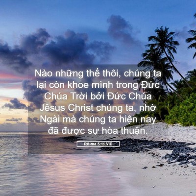 Picture 05 - Rô-ma 5:11 VIE - Nào những thế thôi, chúng ta lại còn - Bible Verse Picture