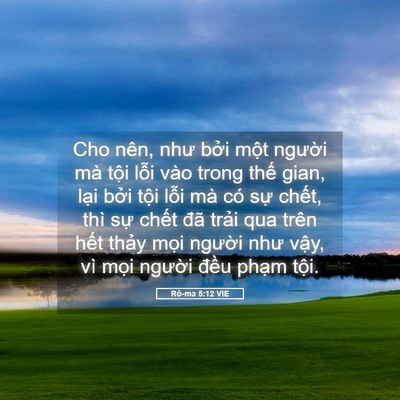 Picture 05 - Rô-ma 5:12 VIE - Cho nên, như bởi một người mà tội - Bible Verse Picture