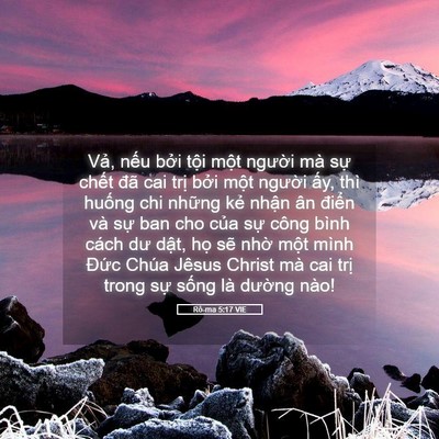 Picture 05 - Rô-ma 5:17 VIE - Vả, nếu bởi tội một người mà sự - Bible Verse Picture