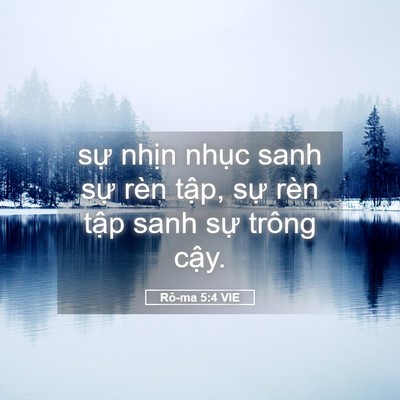 Picture 05 - Rô-ma 5:4 VIE - sự nhịn nhục sanh sự rèn tập, sự - Bible Verse Picture