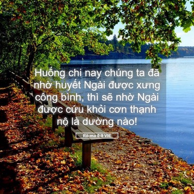 Picture 05 - Rô-ma 5:9 VIE - Huống chi nay chúng ta đã nhờ huyết - Bible Verse Picture