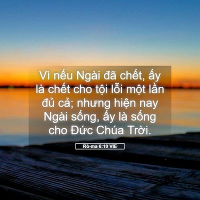 Picture 05 - Rô-ma 6:10 VIE - Vì nếu Ngài đã chết, ấy là chết cho - Bible Verse Picture