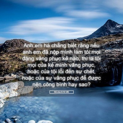 Picture 05 - Rô-ma 6:16 VIE - Anh em há chẳng biết rằng nếu anh em - Bible Verse Picture