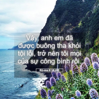 Picture 05 - Rô-ma 6:18 VIE - Vậy, anh em đã được buông tha khỏi - Bible Verse Picture