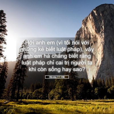 Picture 05 - Rô-ma 7:1 VIE - Hỡi anh em (vì tôi nói với những kẻ - Bible Verse Picture