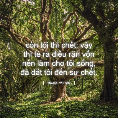 Picture 05 - Rô-ma 7:10 VIE - còn tôi thì chết; vậy thì té ra điều - Bible Verse Picture