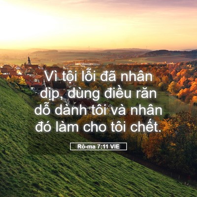 Picture 05 - Rô-ma 7:11 VIE - Vì tội lỗi đã nhân dịp, dùng điều - Bible Verse Picture