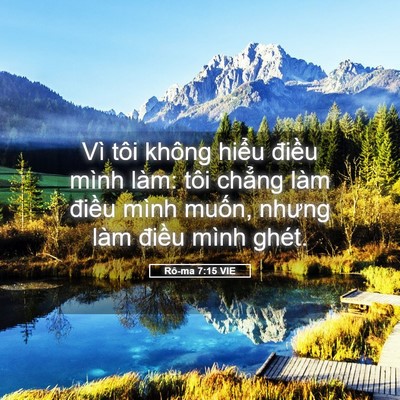 Picture 05 - Rô-ma 7:15 VIE - Vì tôi không hiểu điều mình làm: tôi - Bible Verse Picture