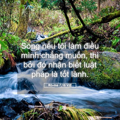 Picture 05 - Rô-ma 7:16 VIE - Song nếu tôi làm điều mình chẳng - Bible Verse Picture