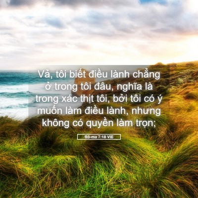 Picture 05 - Rô-ma 7:18 VIE - Vả, tôi biết điều lành chẳng ở trong - Bible Verse Picture