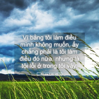 Picture 05 - Rô-ma 7:20 VIE - Ví bằng tôi làm điều mình không muốn, - Bible Verse Picture