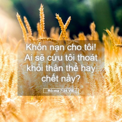 Picture 05 - Rô-ma 7:24 VIE - Khốn nạn cho tôi! Ai sẽ cứu tôi thoát - Bible Verse Picture
