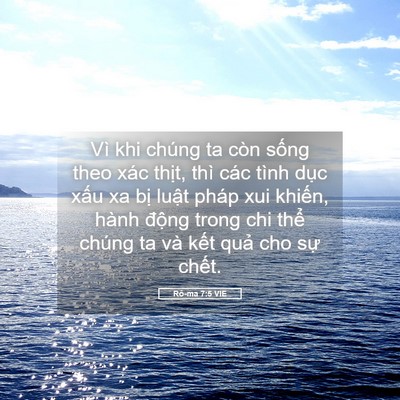 Picture 05 - Rô-ma 7:5 VIE - Vì khi chúng ta còn sống theo xác thịt, - Bible Verse Picture