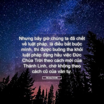 Picture 05 - Rô-ma 7:6 VIE - Nhưng bây giờ chúng ta đã chết về - Bible Verse Picture