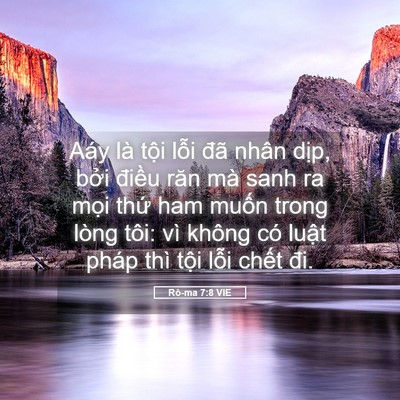 Picture 05 - Rô-ma 7:8 VIE - Aáy là tội lỗi đã nhân dịp, bởi - Bible Verse Picture