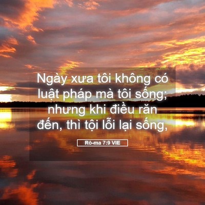 Picture 05 - Rô-ma 7:9 VIE - Ngày xưa tôi không có luật pháp mà tôi - Bible Verse Picture