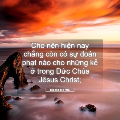 Picture 05 - Rô-ma 8:1 VIE - Cho nên hiện nay chẳng còn có sự đoán - Bible Verse Picture