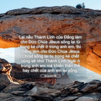 Picture 05 - Rô-ma 8:11 VIE - Lại nếu Thánh Linh của Đấng làm cho - Bible Verse Picture