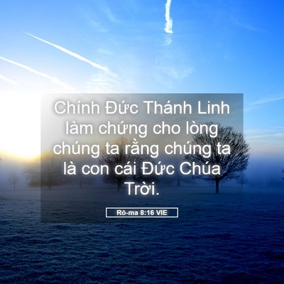Picture 05 - Rô-ma 8:16 VIE - Chính Đức Thánh Linh làm chứng cho lòng - Bible Verse Picture