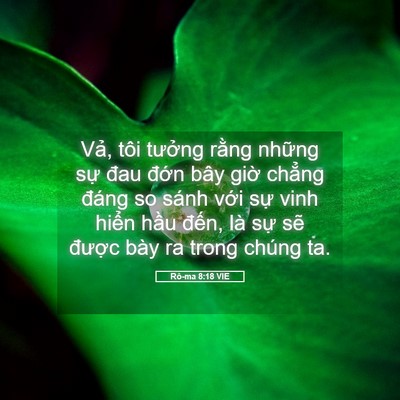 Picture 05 - Rô-ma 8:18 VIE - Vả, tôi tưởng rằng những sự đau - Bible Verse Picture