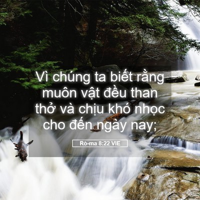 Picture 05 - Rô-ma 8:22 VIE - Vì chúng ta biết rằng muôn vật đều - Bible Verse Picture