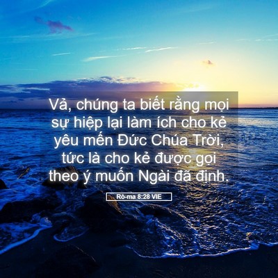 Picture 05 - Rô-ma 8:28 VIE - Vả, chúng ta biết rằng mọi sự hiệp - Bible Verse Picture